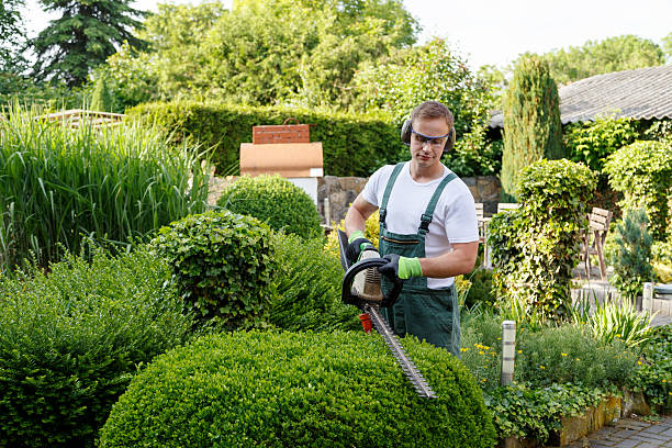 Lawn Pest Prevention in Berryville, AR